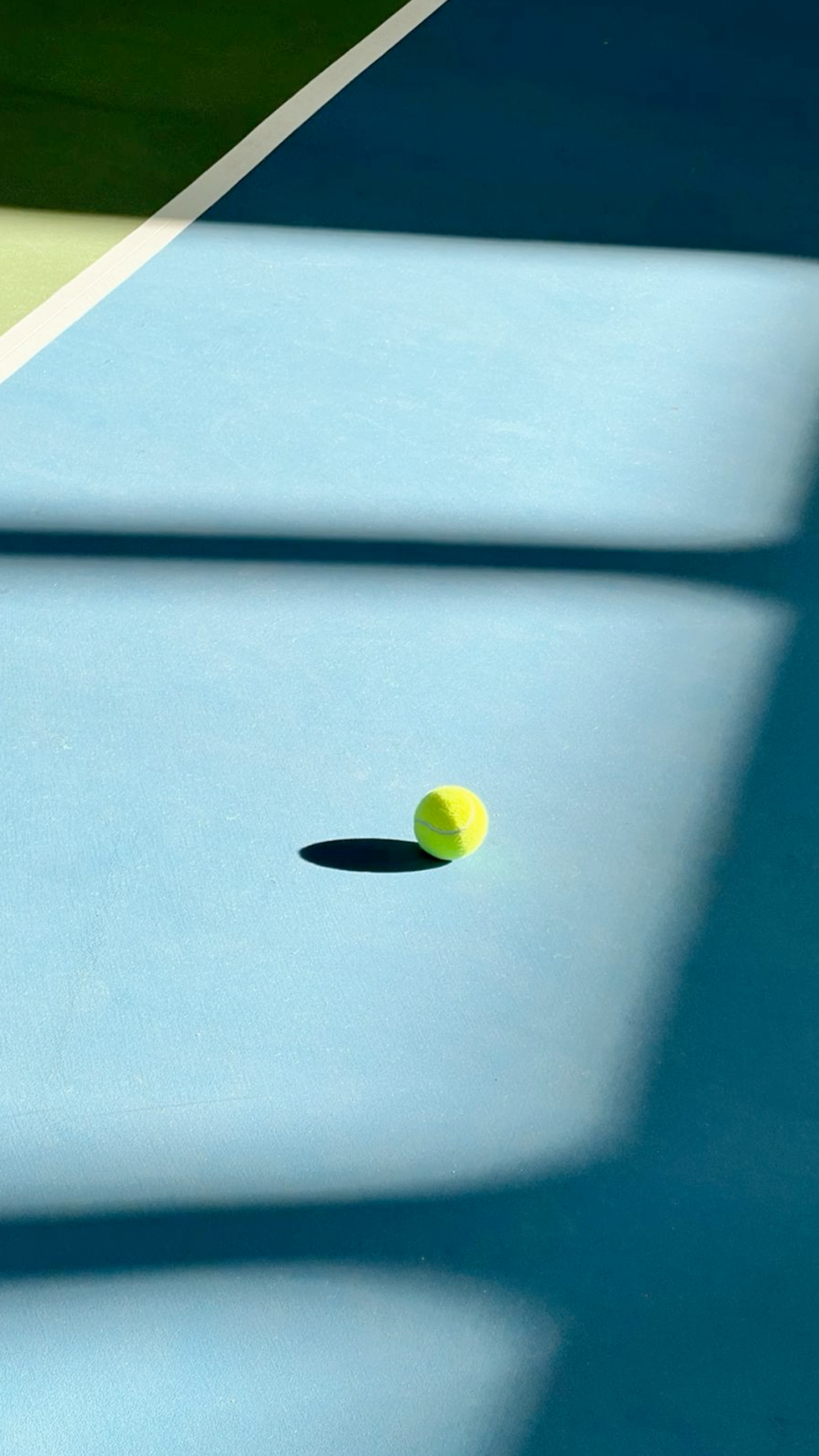 A tennis ball floats in mid-air, illuminated by sunlight.