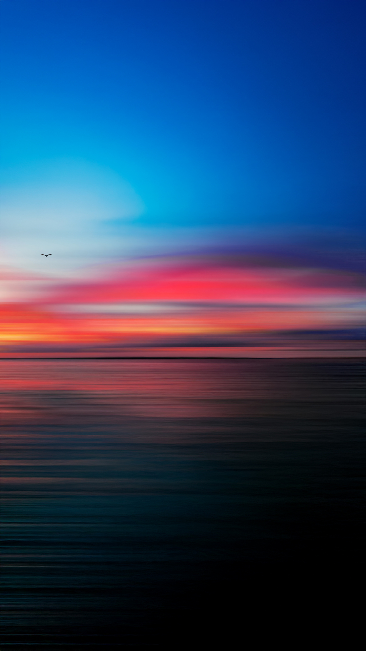 A lone bird soars above a vibrant, sunset-painted sky, with its silhouette stark against the colors of the horizon.