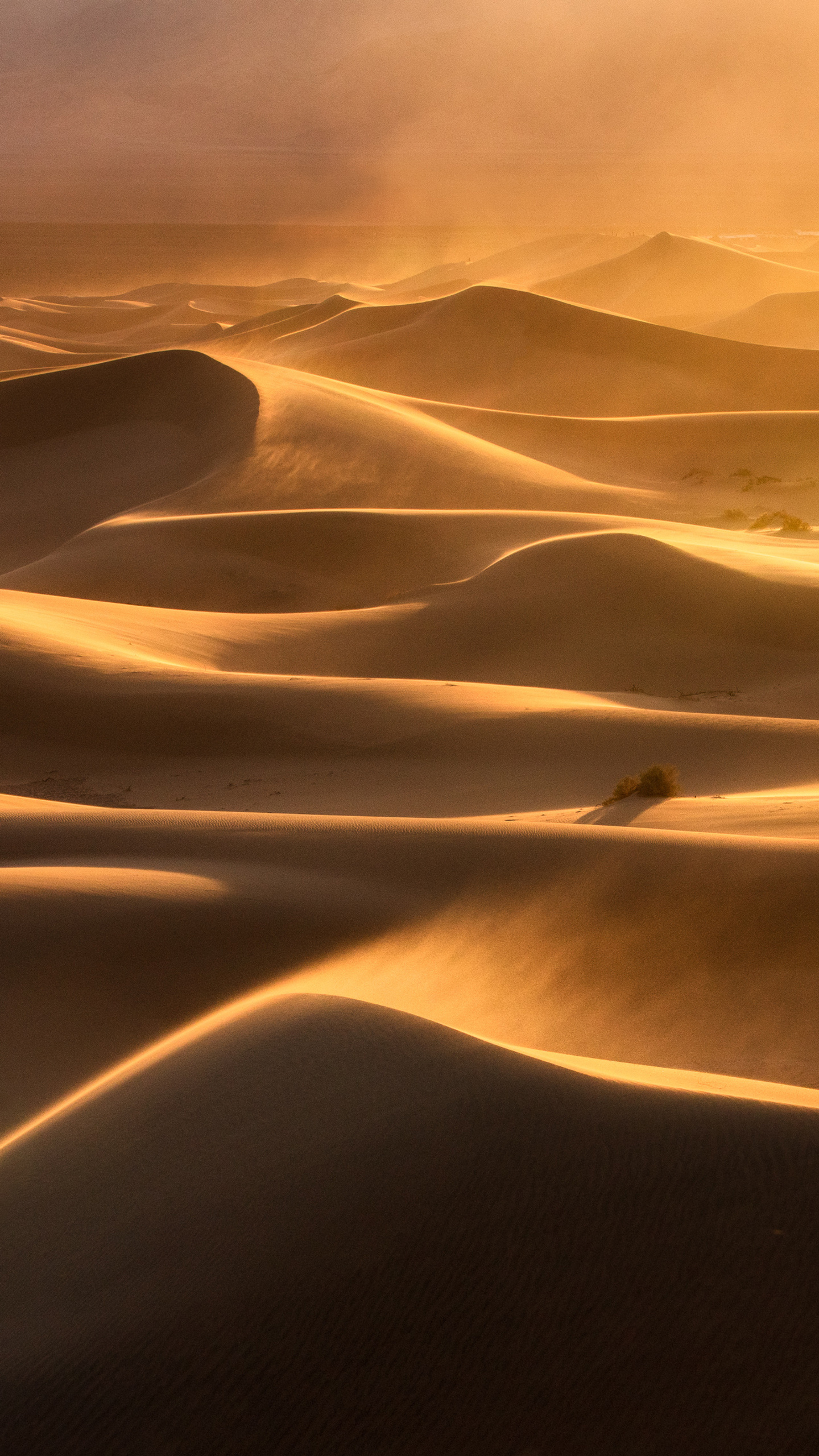 Sunlit dunes stretch across the desert landscape.
