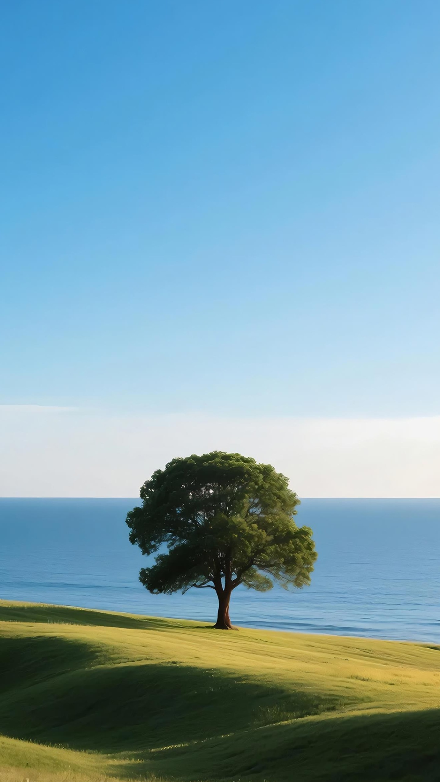 A serene tree stands alone on a lush green hill, overlooking the vast ocean.