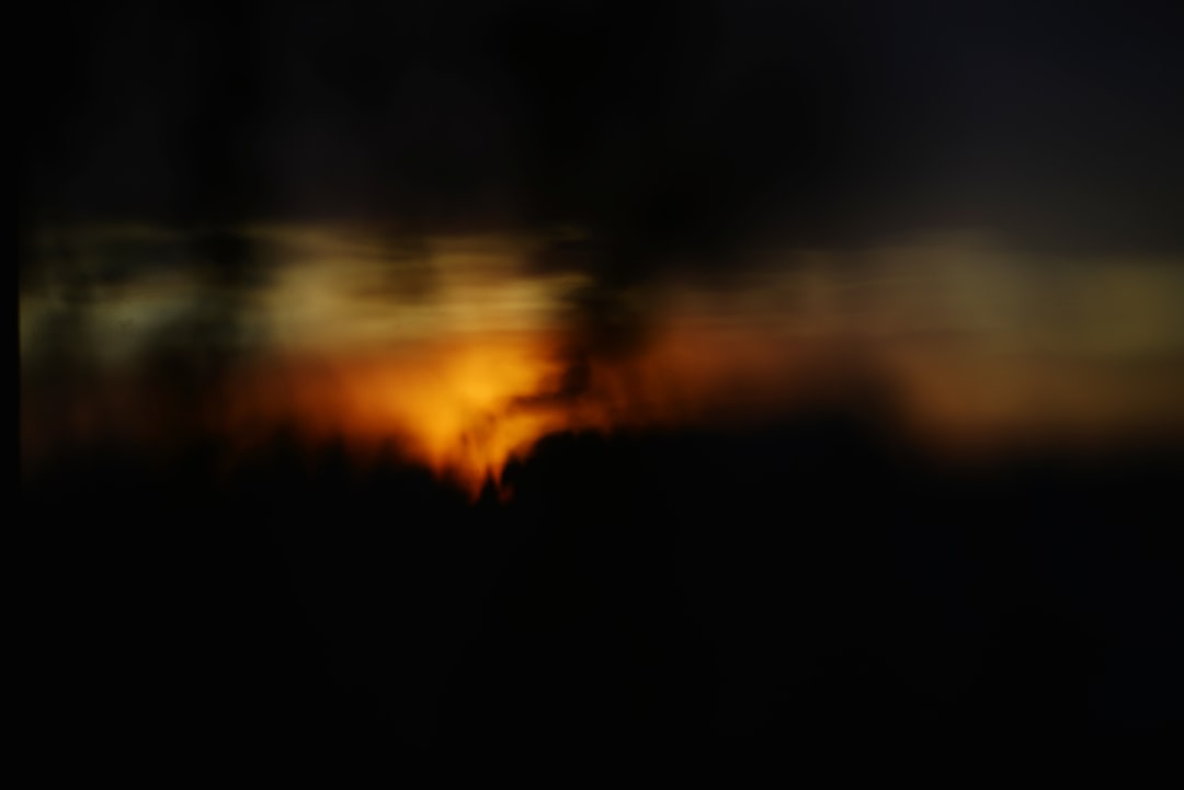 Sunlight filters through trees, casting a warm glow on the landscape.