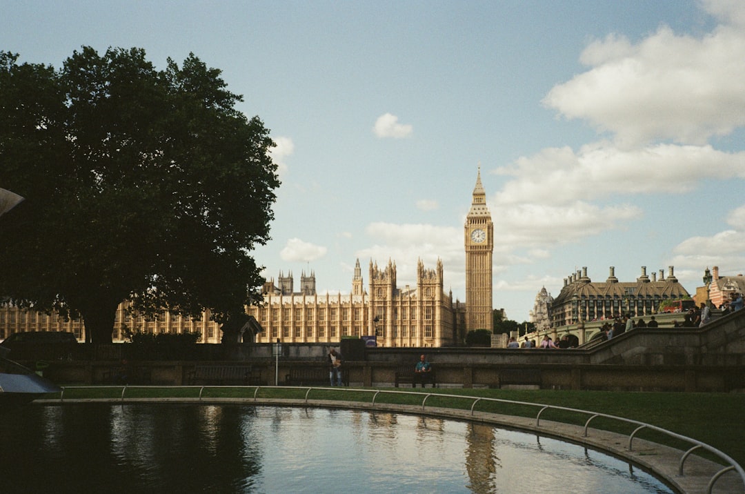 A large tree stands in front of a grand building, its reflection visible in the pool of water in the foreground.