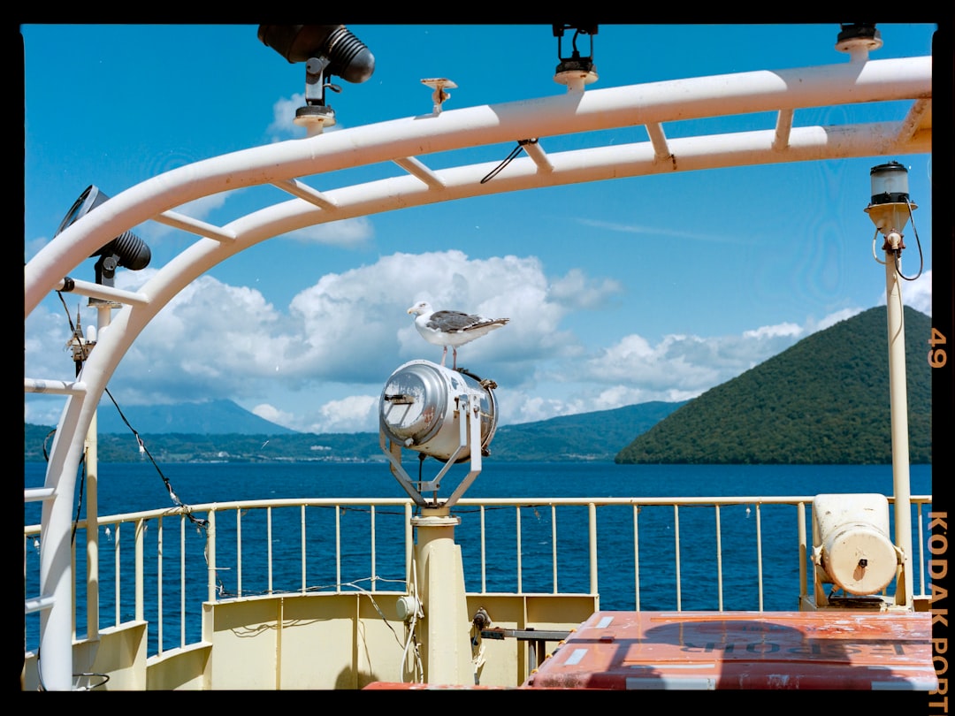 A seagull perches on a white railing, overlooking a serene blue lake.