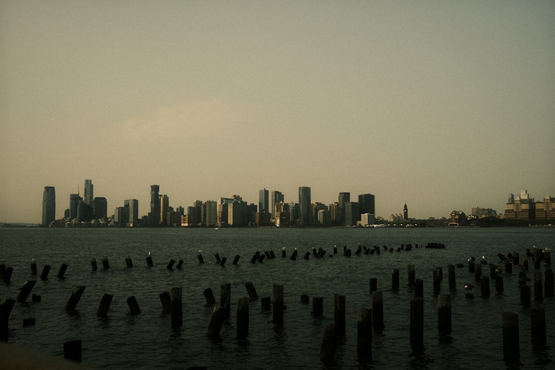 A city skyline stretches across the horizon, with a cluster of wooden pilings in the foreground.
