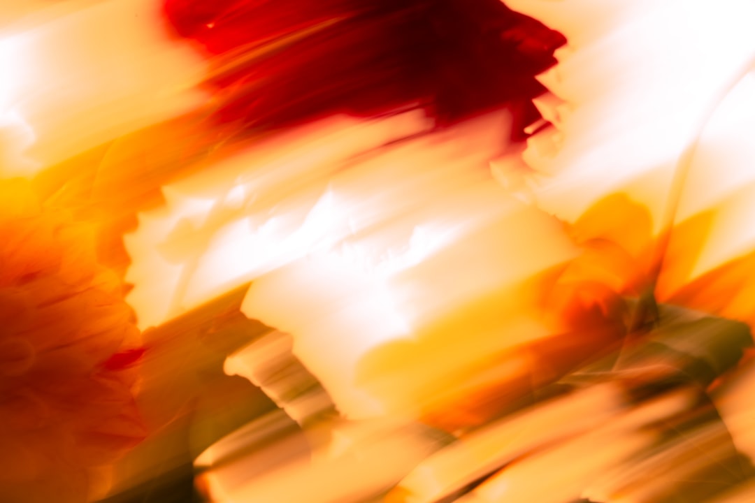 Red and orange abstract shapes, reminiscent of a fiery explosion, fill the frame.