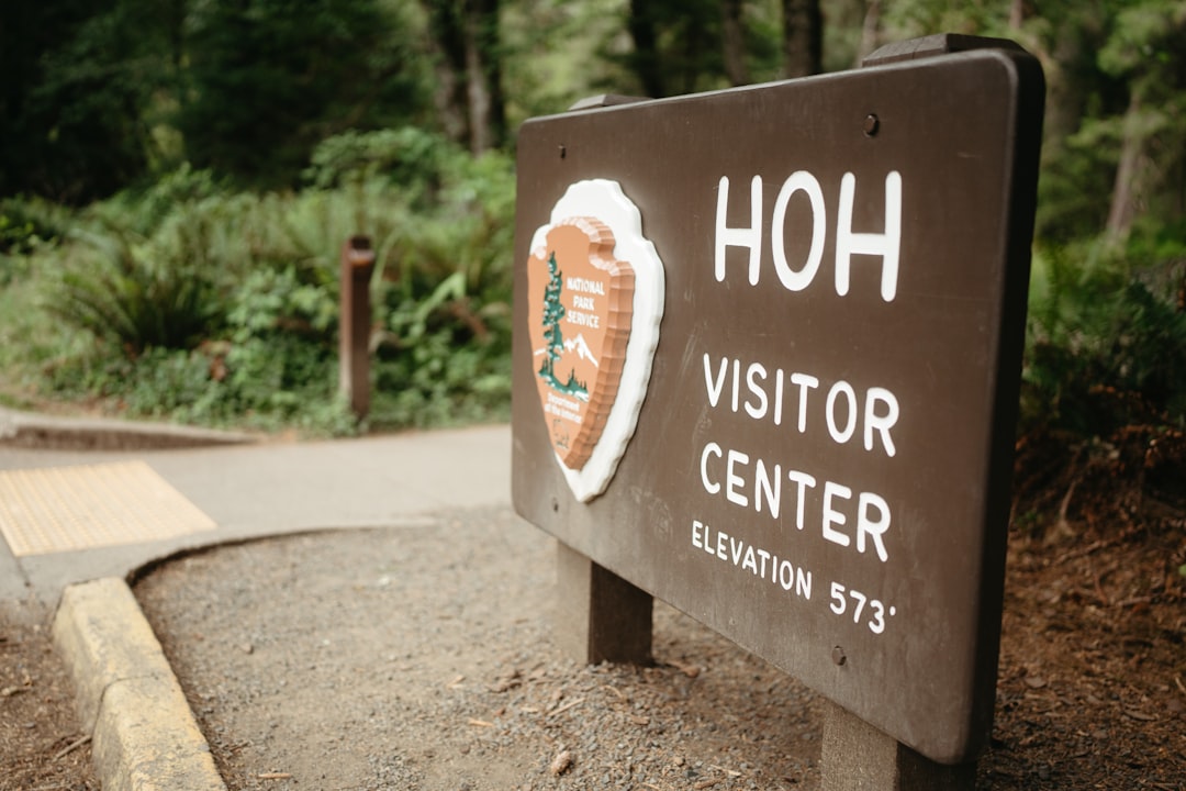 A brown sign stands out in a lush forest, displaying the words "HOH VISITOR CENTER ELEVATION 573'" in white.