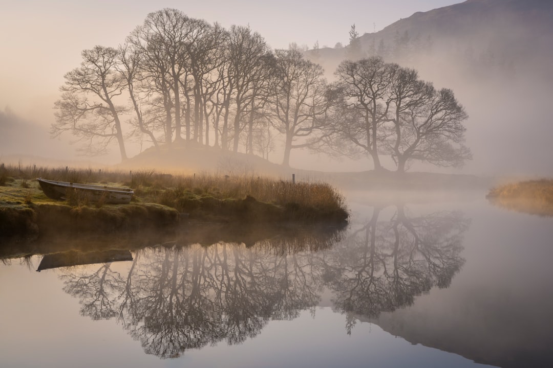 A serene landscape with a misty lake, trees, and a small boat.