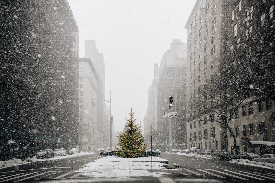 Snowflakes swirl around a solitary tree in the middle of a city street.