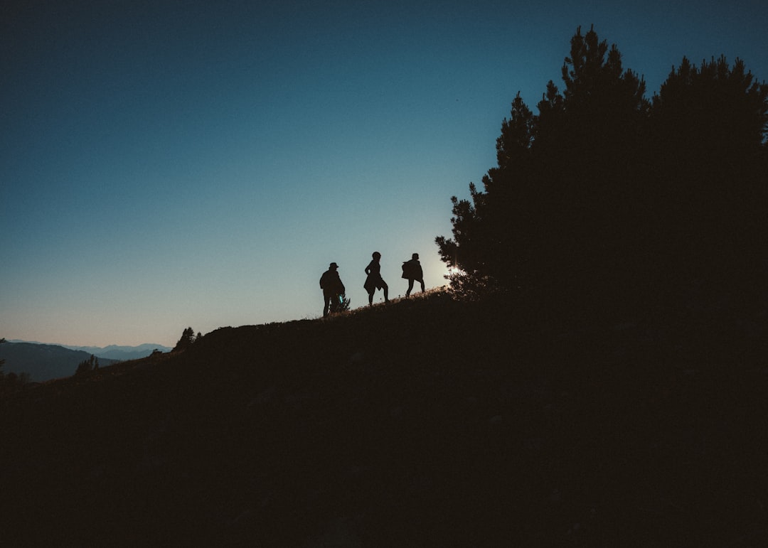 Four individuals stand on a hill, silhouetted against the fading light of day.