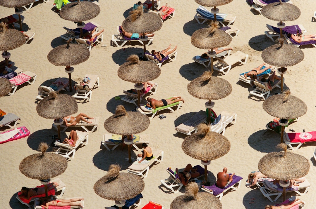 A tranquil beach scene unfolds, with numerous people basking in the sun beneath large straw umbrellas.