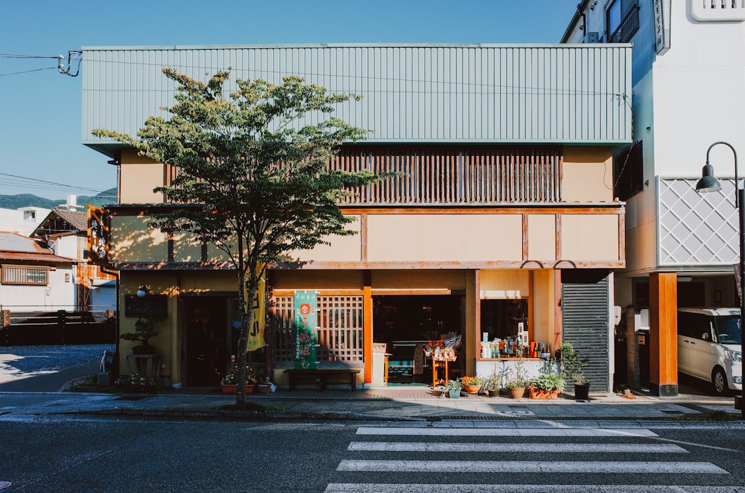 A serene street scene unfolds, with a tree standing tall in front of a building.