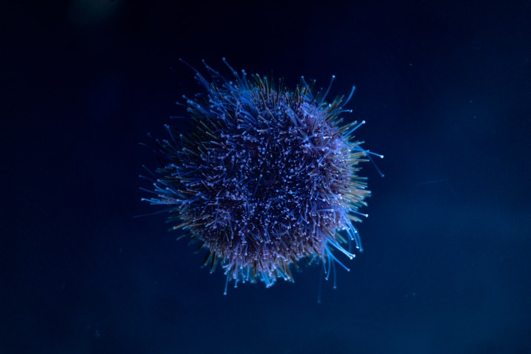 A dark blue, spherical object with spiky protrusions is set against a dark blue background.
