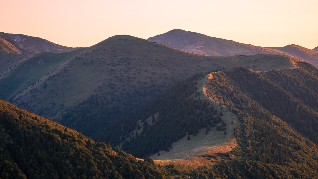 Sunlight filters through trees, casting a warm glow on the lush green mountains.