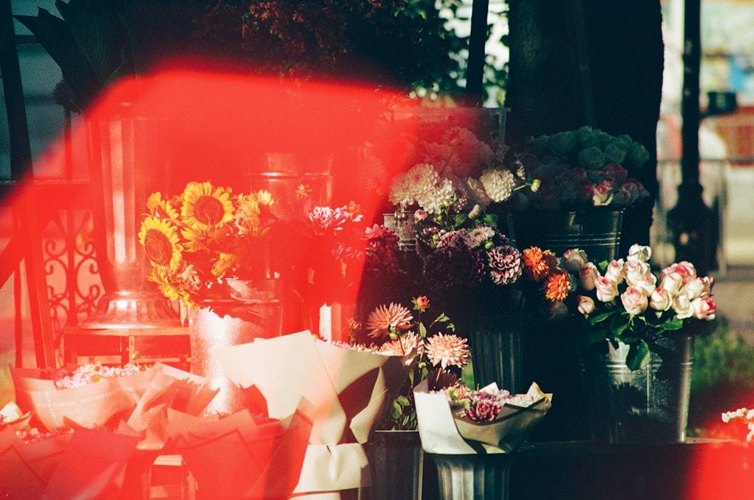 Sunlight filters through trees, casting a warm glow on a vibrant display of flowers.