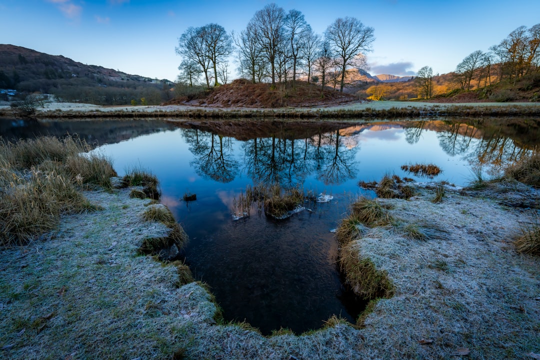 A serene landscape unfolds, with a tranquil body of water reflecting the surrounding trees and hills.