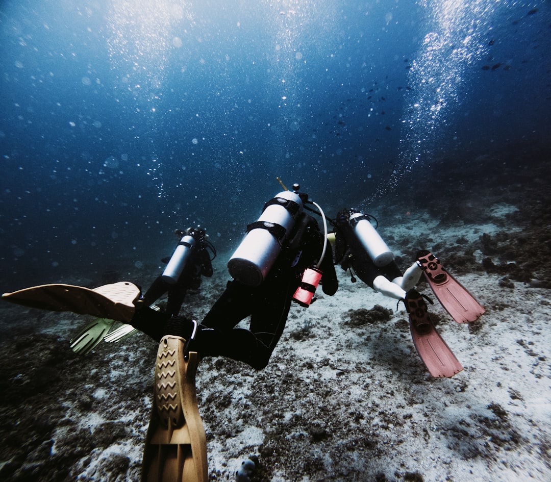 Two divers explore the ocean floor, surrounded by the shimmering blue water and sunlight filtering through the surface.