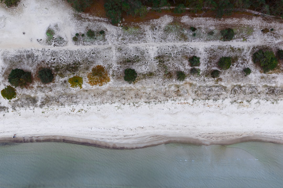 A serene beach scene unfolds, with lush greenery and sandy dunes meeting the calm sea.
