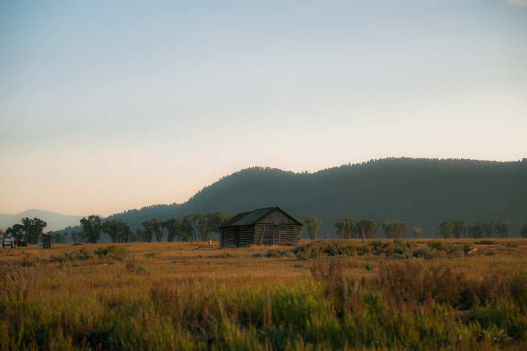 A rustic barn stands in a field, surrounded by rolling hills and trees, under a clear blue sky.