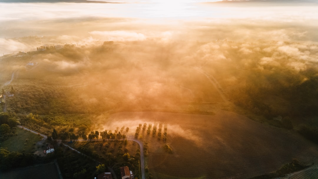 Golden sunlight illuminates a serene landscape, with trees and fields bathed in its warm glow.