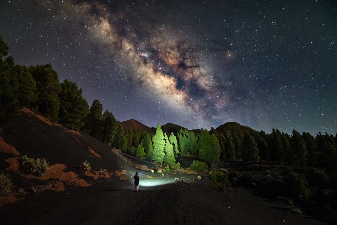 A person stands in a dark landscape, surrounded by trees, with a flashlight casting a beam of light.