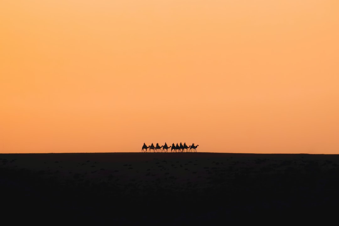 A line of camels traverses the desert landscape, set against a backdrop of a vibrant orange sky.