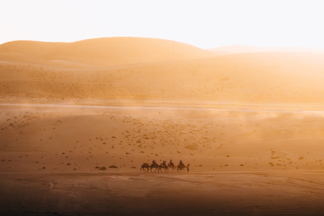 A group of camels traverses a vast desert landscape, their silhouettes stark against the backdrop of towering sand dunes.