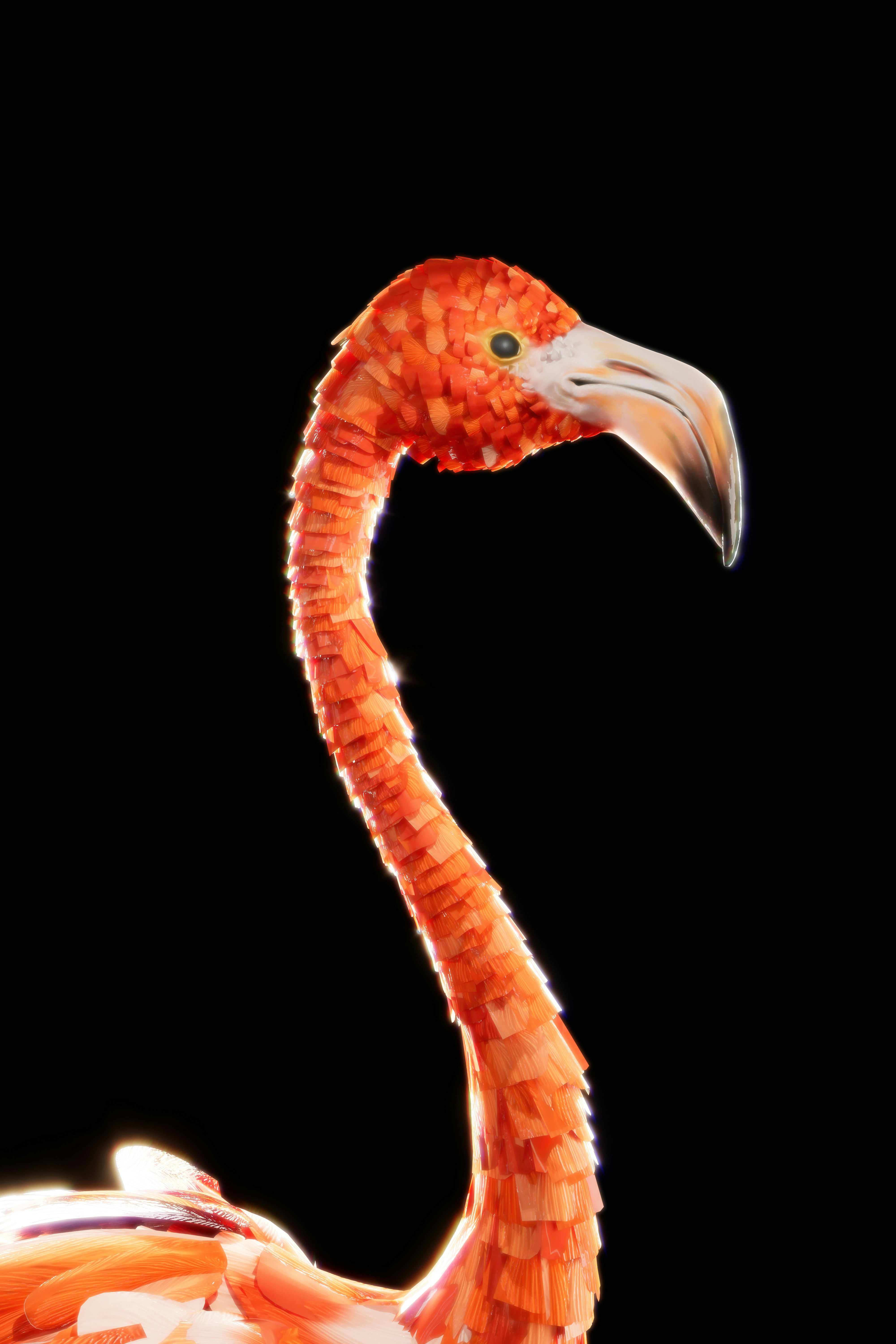 A flamingo's neck is adorned with vibrant orange feathers, its long, curved beak standing out against a dark background.