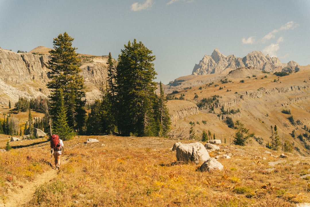 A lone hiker treks through a vast, golden landscape dotted with sparse trees and rugged mountains.