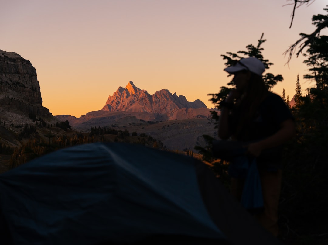 Sunlight filters through trees onto rugged, rocky mountains.