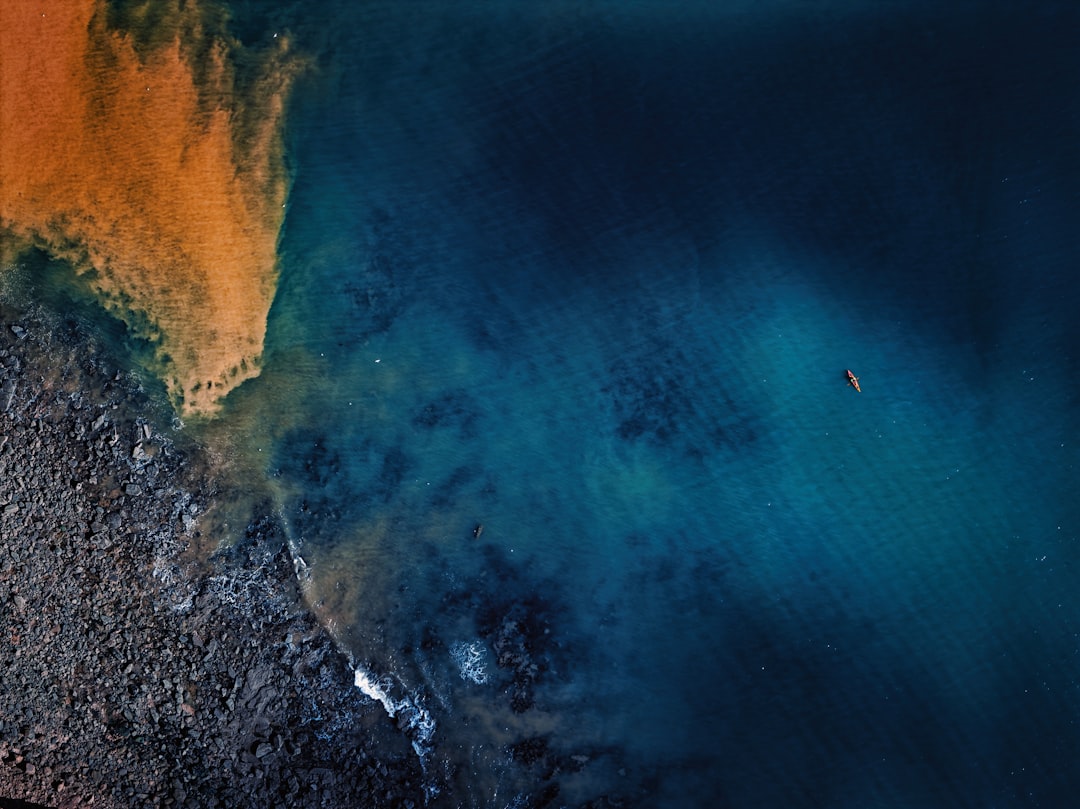 A serene beach scene unfolds, with a sandy shore and a vibrant teal ocean, featuring two kayaks gliding across the water.