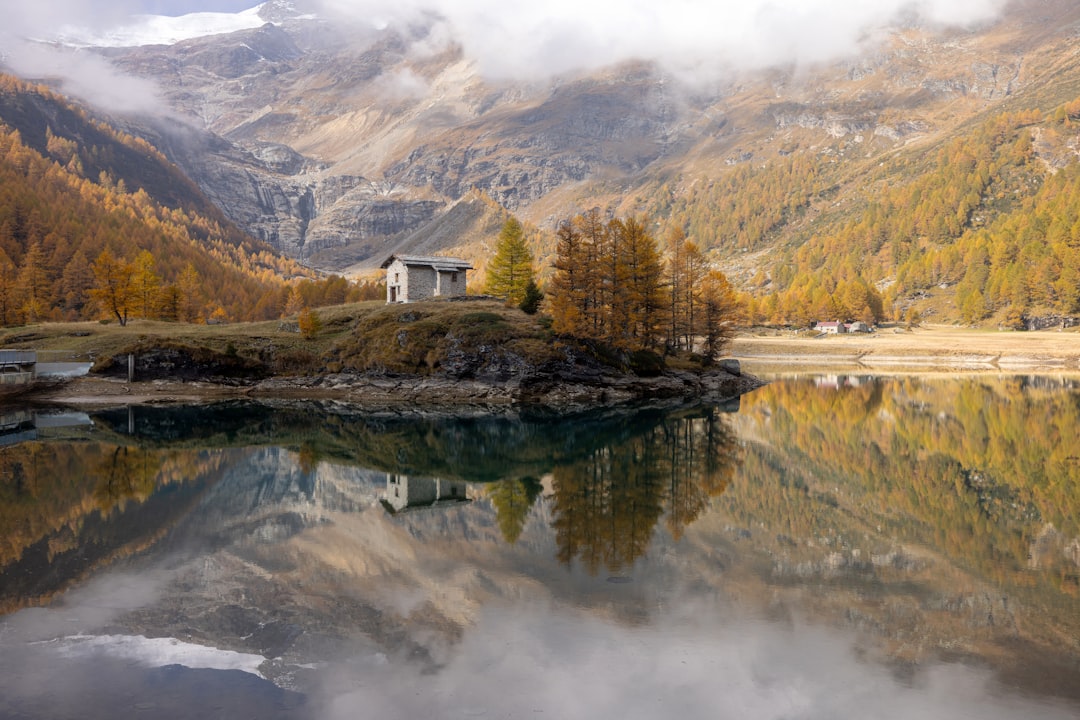 A serene lake scene unfolds, with a small white house nestled on a hill, surrounded by a lush forest of yellow trees, set against a majestic mountain backdrop.
