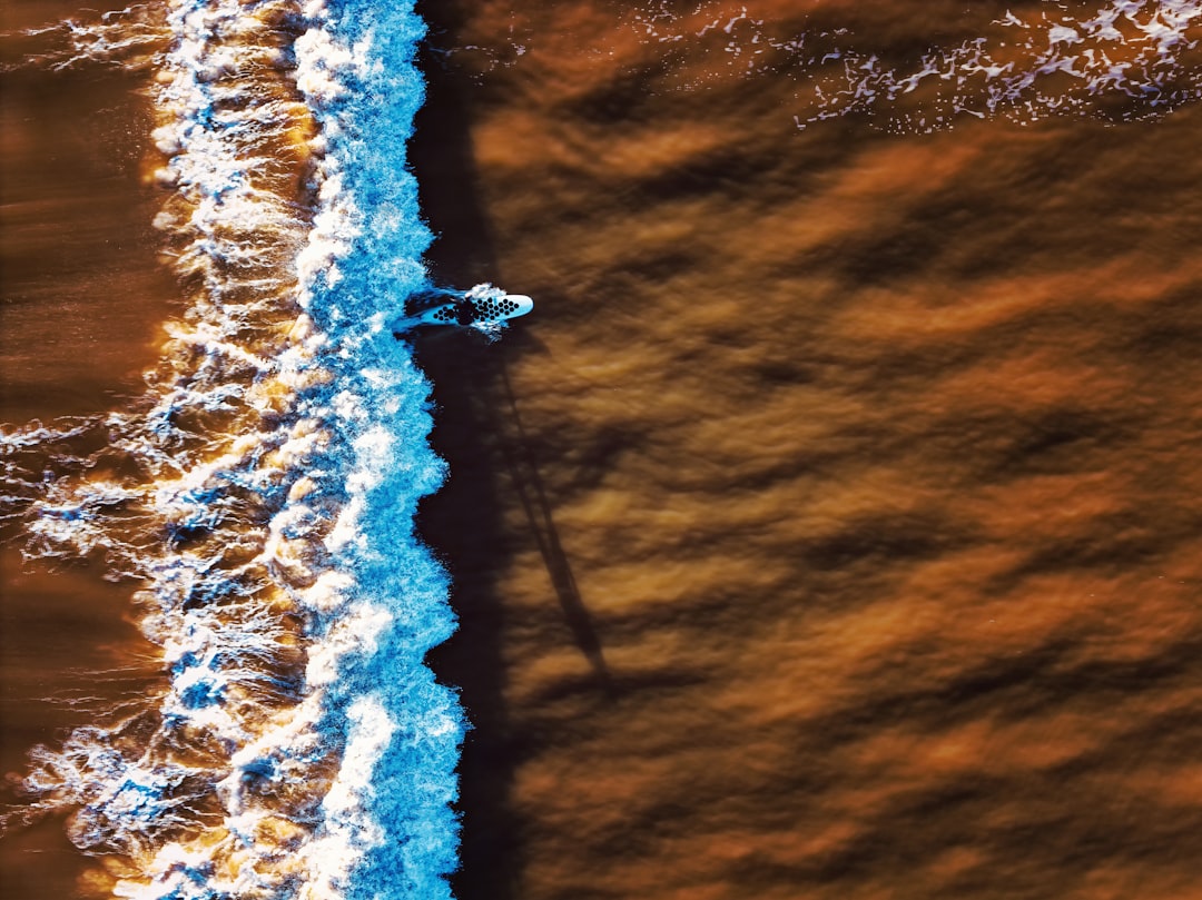 A sea turtle glides through the ocean, leaving a trail of foam in its wake.