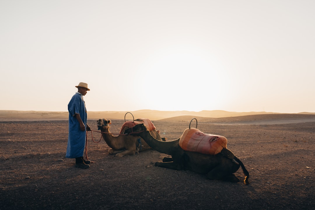 Deserted dunes stretch under a vast, cloudless sky, with two camels resting in the foreground.