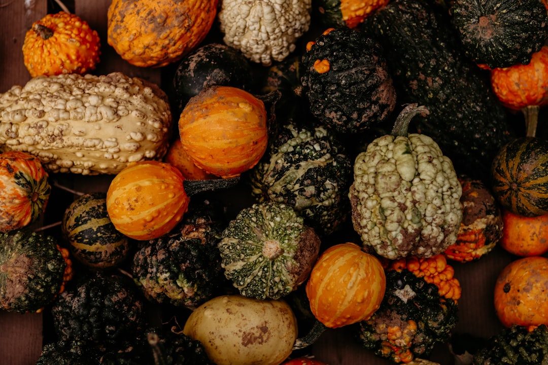 A vibrant assortment of squashes and gourds in various colors and shapes.