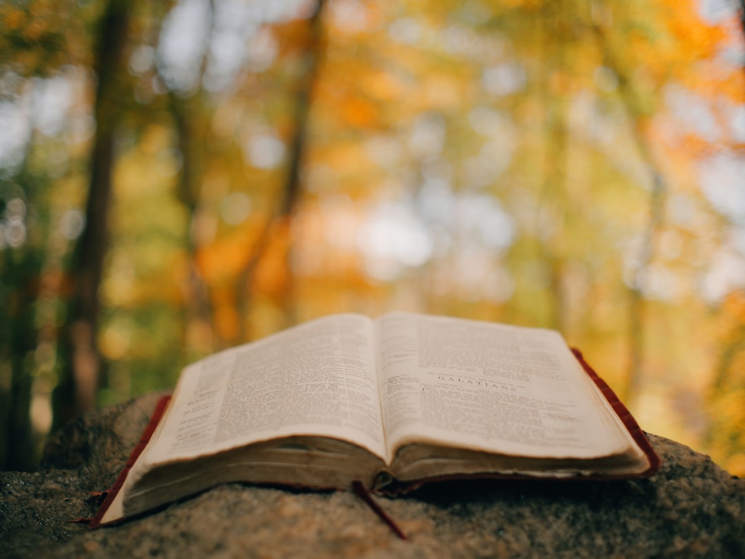 A Bible sits open on a rock, its pages illuminated by the warm glow of the surrounding autumnal scene.