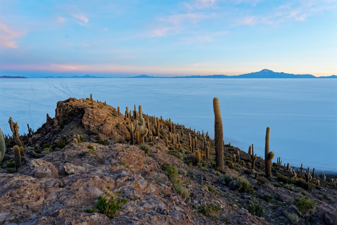 A rocky outcropping is surrounded by cacti, set against a backdrop of vast, flat terrain.