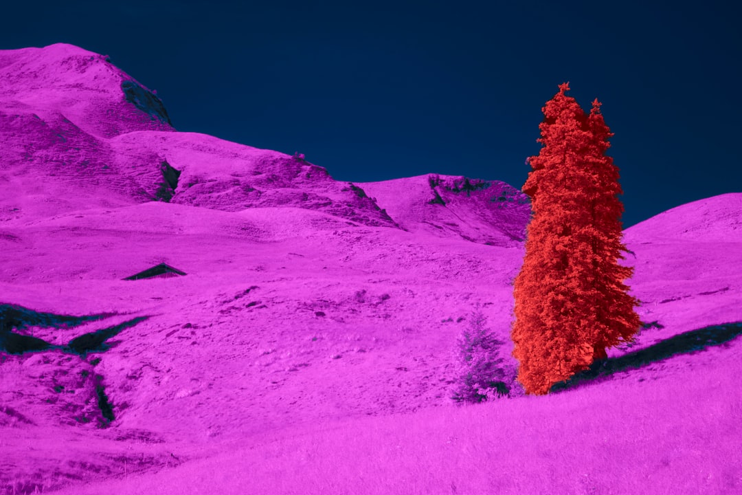 A solitary red tree stands tall amidst a vast expanse of pink mountains under a deep blue sky.