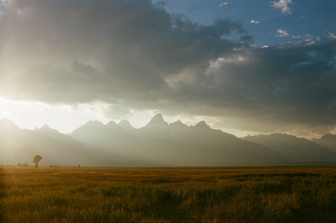Golden mountains bathed in sunset light.